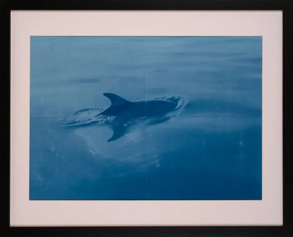 Delfin