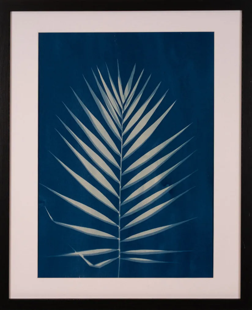 Palmier